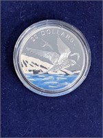 2017 $20 Fine Silver Coin Glistening North The