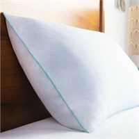 Wayfair Sleep Encased Cooling Memory Foam Pillow