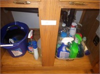 Cleaning products under sink