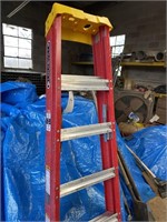 6' Alum Ladder