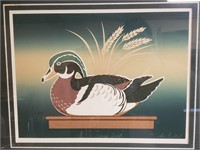 "Wood Duck" John Fields Signed Art Print