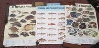 Pennsylvania trutles, snake, fish species posters