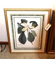 2 Floral Framed Pictures (24 x 31