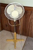 Fan on Stand & Wall Hanging & Picture