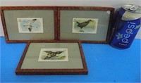 1908 Church & Dwight Co Baking Soda Birds Framed