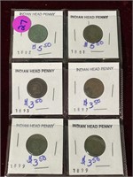 6 Indian Head Pennies