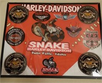Harley Davidson Snake Framed Patches