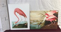 Two Audubon Oil on Canvas Giclees