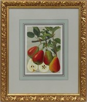 VINTAGE PEAR LITHOGRAPH IN GILT FRAME