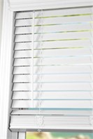 8x48 Cordless Blinds
