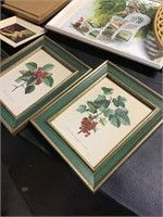 Vintage Art Prints, Fruit, Floral, Angel Chalk