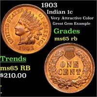 1903 Indian 1c Grades GEM Unc RB
