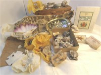 Vintage Shell and Rock Collection, Nov 22, 1963