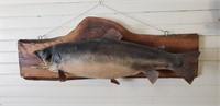 Taxidermy fish mount