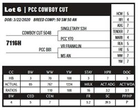 PCC COWBOY CUT 7116H