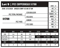 PCC COPPERHEAD 5178H