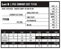 PCC COWBOY CUT 7111H
