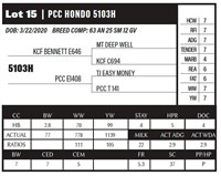 PCC HONDO 5103H