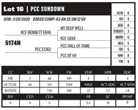 PCC SUNDOWN 5174H