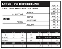 PCC ARROWHEAD 5176H
