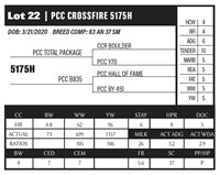 PCC CROSSFIRE 5175H