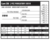 PCC PURGATORY 5181H