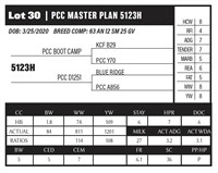 PCC MASTER PLAN 5123H