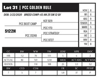 PCC GOLDEN RULE 5122H