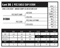 PCC EAGLE CAP 5136H