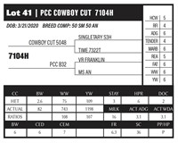 PCC COWBOY CUT 7104H