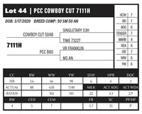 PCC COWBOY CUT 7111H
