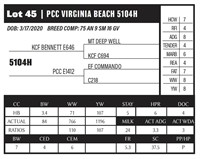 PCC VIRGINIA BEACH 5104H