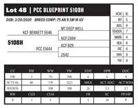 PCC BLUEPRINT 5108H