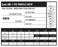 PCC PROFILE 5107H