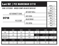 PCC MARKSMAN 5171H