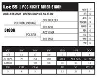 PCC NIGHT RIDER 5180H