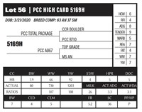 PCC HIGH CARD 5169H