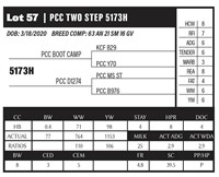 PCC TWO STEP 5173H