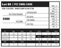 PCC SIMBA 5160H
