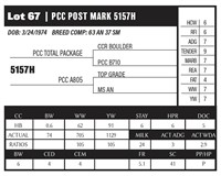 PCC POST MARK 5157H