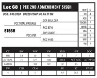 PCC 2ND AMENDMENT 5156H