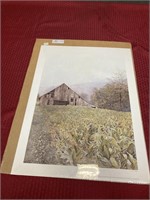 Unframed print by Larry Olson  “Curing Barn?