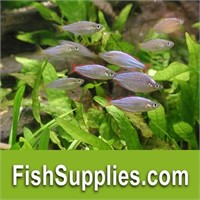 FishSupplies.com