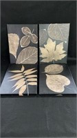 Set of 4 canvas prints of leaves. 15 3/4" x 11