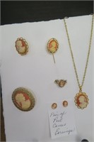 Cameo's Necklace, Earrings, Ring & Pins