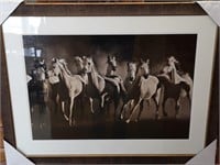 Dream Horses Framed Print