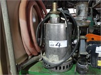 Ebara S/S Submersible Pump, 240 Volt