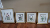 Framed/Matted/Signed/Numbered Watercolor Prints