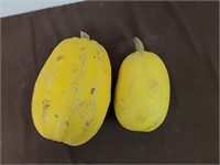 Two speghettie squash