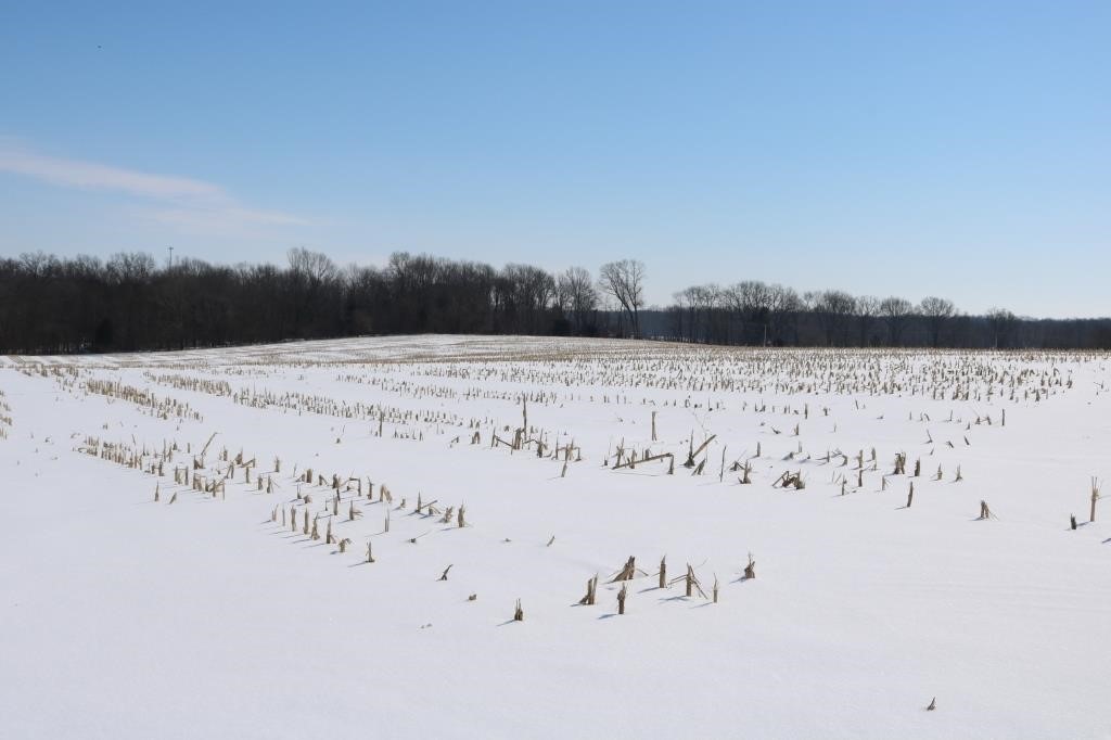 40+- Acres in White County, IL